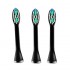 Lebooo Unique Black 3pcs