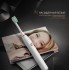 Lebond IN Plus White