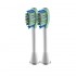 Lebond MA Ortho Plus
